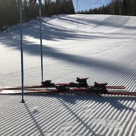 Unique Lakehouse Valo Hollola