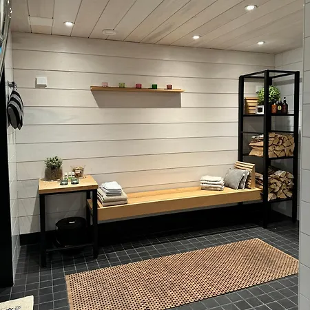 Unique Lakehouse Valo 别墅 *