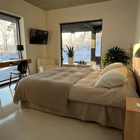 Unique Lakehouse Valo 别墅 *
