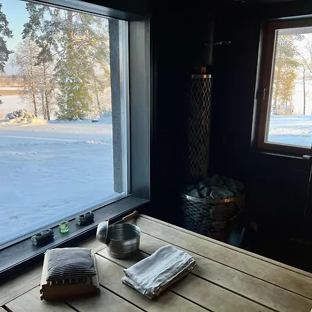 Unique Lakehouse Valo 别墅